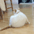 猫咪 洗漱 尾巴 可爱