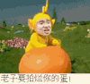 老子要拍烂你的蛋 天线宝宝