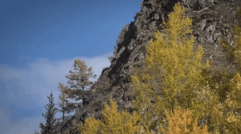 山崖 树木 植物 纪录片 美丽的贝加尔湖 蓝天 风景