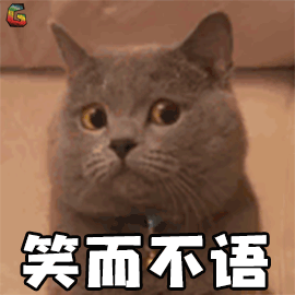萌宠 猫咪 猫 拒绝 笑而不语 soogif soogif出品