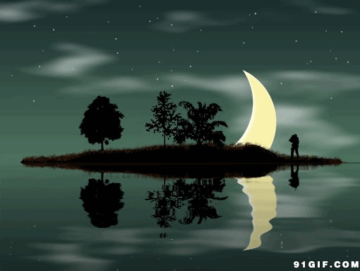 月亮 夜色 大树 小岛