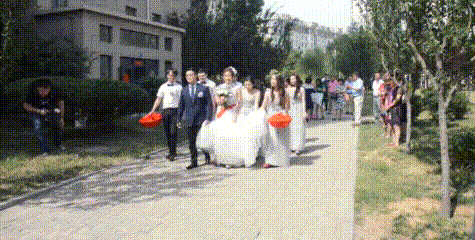 新娘新郎 婚礼 结婚 幸福