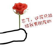 花给你 送花 撩汉 玫瑰