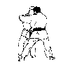 柔道 格斗 日本武术