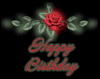 玫瑰花 生日快乐 祝福 漂亮