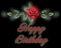 玫瑰花 生日快乐 祝福 漂亮