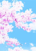 蓝天 樱花 表 房子