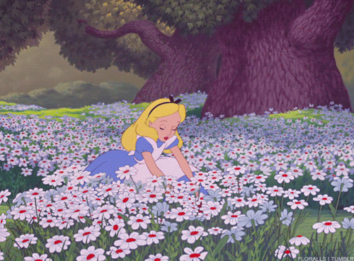 迪士尼 爱丽丝梦游仙境 爱丽丝