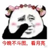 熊猫头 恶搞 雷人 斗图 搞笑 今晚不斗图 看月亮