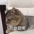 萌宠 猫咪 猫 开始自闭 伤心 自闭