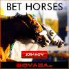 赛马 horse racing 海报 网页