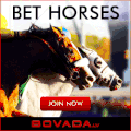 赛马 horse racing 海报 网页