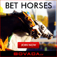 赛马 horse racing 海报 网页