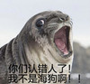 你们认错人了 我不是海狗 可爱 呐喊