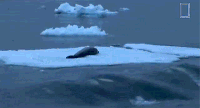 波动 命运 海浪 冰块
