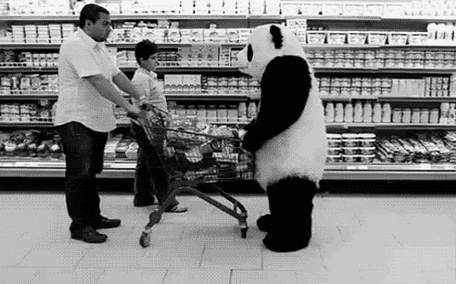 超市 购物车 熊猫 生气