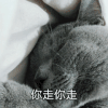 萌宠 喵星人 你走你走 走开 呆萌 可爱