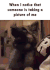 搞笑 狗 萌萌哒 仰头 when i notice that someone is tuking a picture of me
