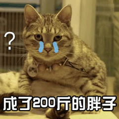猫 伤心 流泪 200斤的胖子
