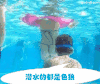 潜水 路过 潜水中 水下