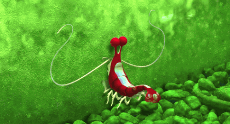 迪士尼 哈哈 有趣的GIF 大声笑 海底总动员 迪士尼皮克斯 迪士尼的GIF 皮克斯动画GIF 皮克斯 迪斯尼皮克斯 电影台词
