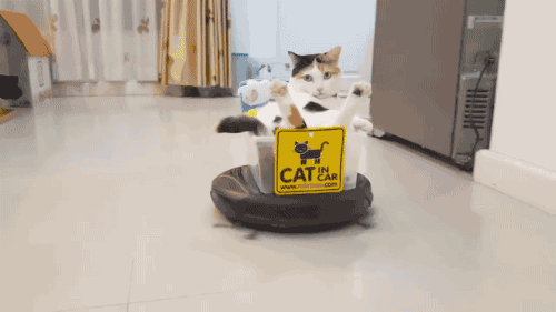 猫咪 家庭 搞笑 扫地机