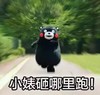 熊本熊 小婊砸 搞笑 可爱