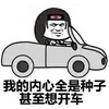 金馆长 开车 我的内心全是种子 甚至想开车
