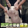 搞笑 逗比 笑死了 神操作