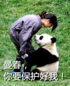 熊猫 动物 可爱 曼春你要保护好我