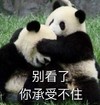 萌宠 熊猫 别看了 你承受不住 呆萌 可爱