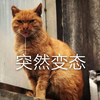 萌宠 猫星人 突然变态 想吃 搞怪 逗