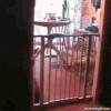击剑 搞笑  奇葩 牛逼