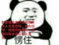 熊猫人 文化人 搞笑 逗