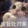 萌宠 猫星人 跟我处对象 害羞 呆萌 可爱