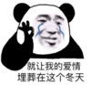 暴漫 文字表情包 就让我的爱情埋葬在这个冬天 搞笑 逗 沙雕