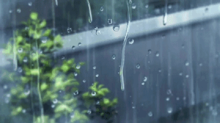 下雨 玻璃 雨滴 叶子