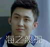 上瘾 帅哥 搞笑 海之蔑视