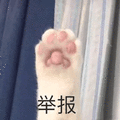 爪子 猫爪子 举报 举手