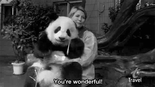拥抱 熊猫