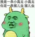 我是小青龙你是猪儿虫 搞笑 斗图 猥琐