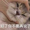 萌宠 喵星人 好了 你不要再说了 呆萌 可爱