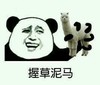 握草泥马 搞笑 斗图 暴漫