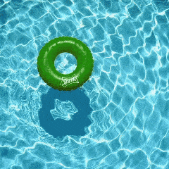 泳池 救生圈 绿色 漂亮