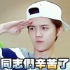 鹿晗 帅哥 敬礼 同志们辛苦了