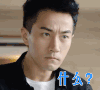 继承人 刘恺威 什么