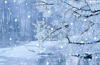 雪花 大树 河水 漂亮