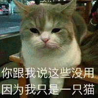 萌宠 猫 猫咪 喵星人 你跟我说这些没用 因为我只是一只猫 拒绝