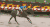 赛马 horse racing 奔跑