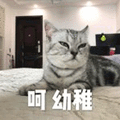 呵 幼稚 猫